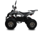 Preview: Elektroquad MRM Warrior 1500 Watt 60 Volt